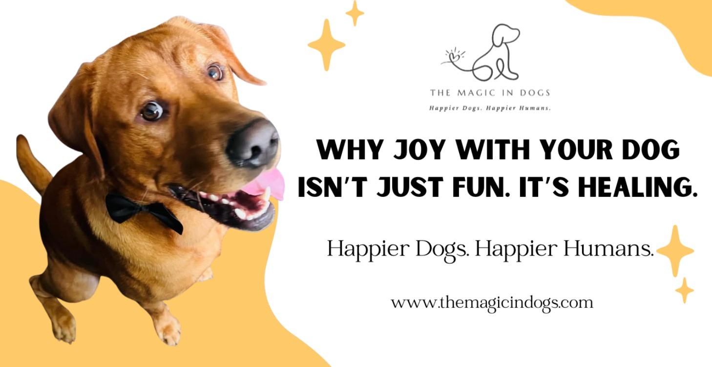 ✨ Why Joy with your Dog is Healing ✨