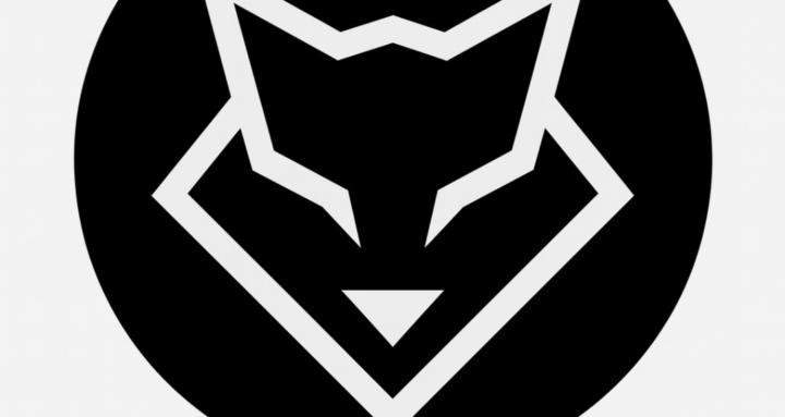 Videofoxx private community