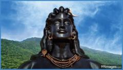 Ninad B