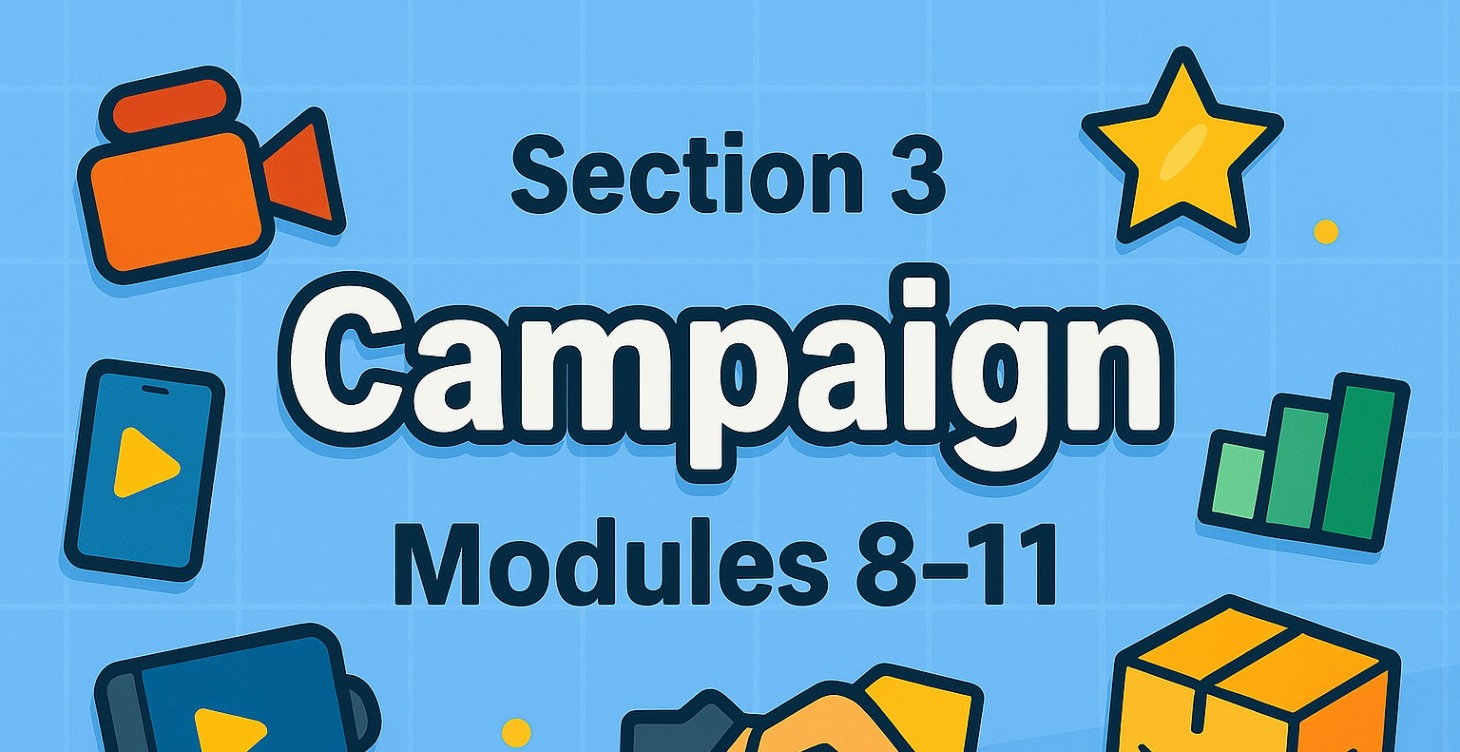 Section 3 - Campaign