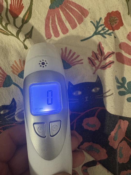 KETOSIS stopped