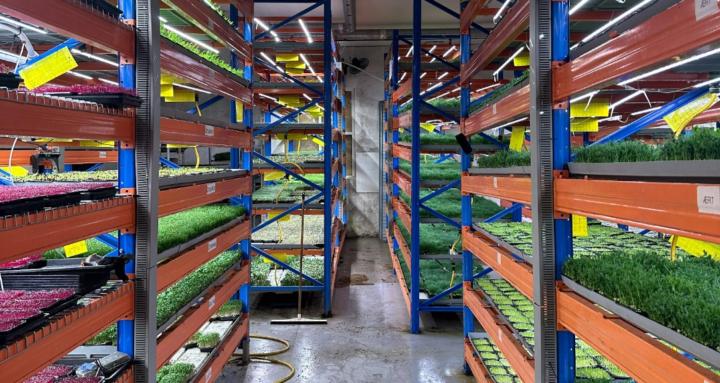 Vertical + Urban Farm Academy