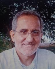 Luis Vivó