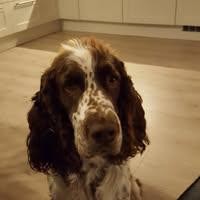 Unni Eidsvåg Knudsen