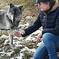 Wolfgang Gregor Marczinyas