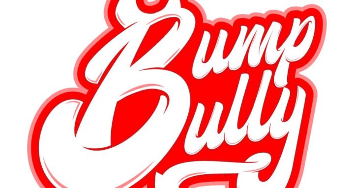 Bump Bully Pro