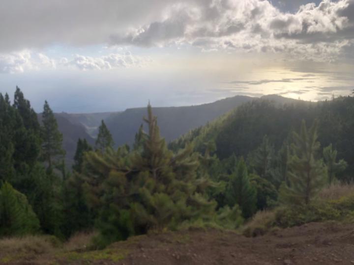 Aniata Teikihakaupoko