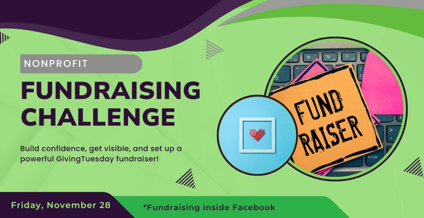 The Nonprofit MINI Fundraising Challenge