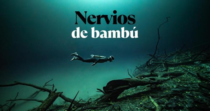 Nervios de Bambú