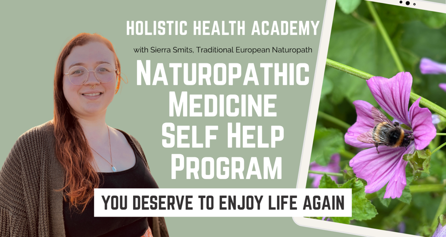 Holistic Health Academy