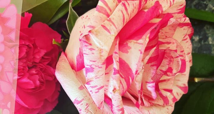 Self Love & Self Care