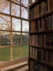 محمد السفياني