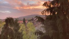 Bíbor Virág Sitkei