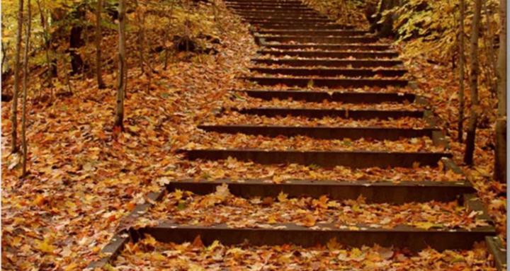 C-PTSD: We can overcome!