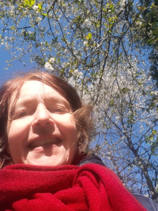 Birgit Breloh