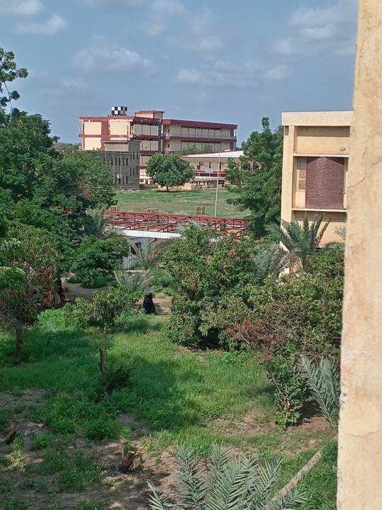 Ahlam Mohammed Eltayeb