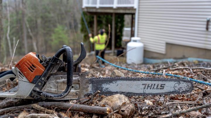 Tree Removal Flint Hill, MO | Call (206) 804-4626