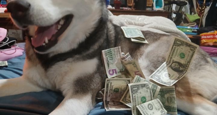 Be & Do HOO & WAT You CAN!