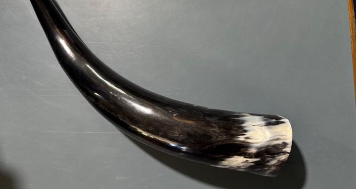 Eco Friendly Fashion