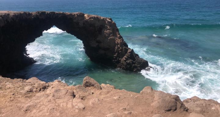 The Journey of Healing 