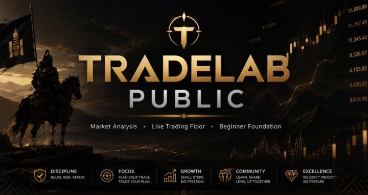 TRADELAB PUBLIC cover