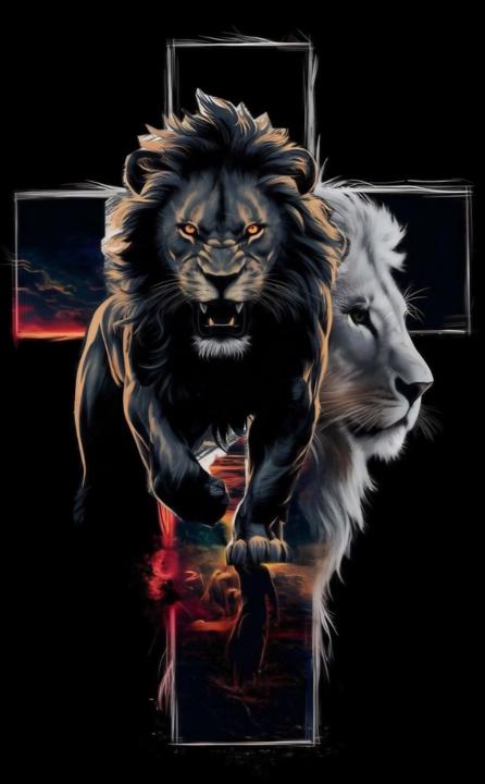 Cairo winmer Machuca Peralta