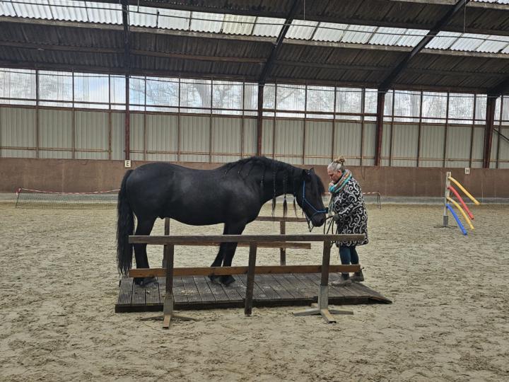 Tony Sigtermans-Keijzer