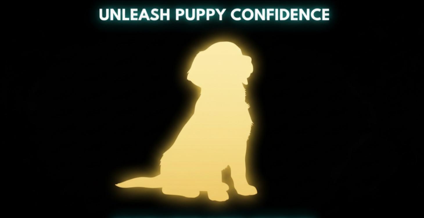 THE PUPPY CONFIDENCE SCHOOL