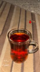 عمر فتحي