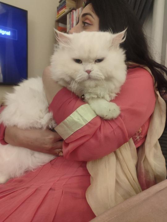 Wajiha Anwer