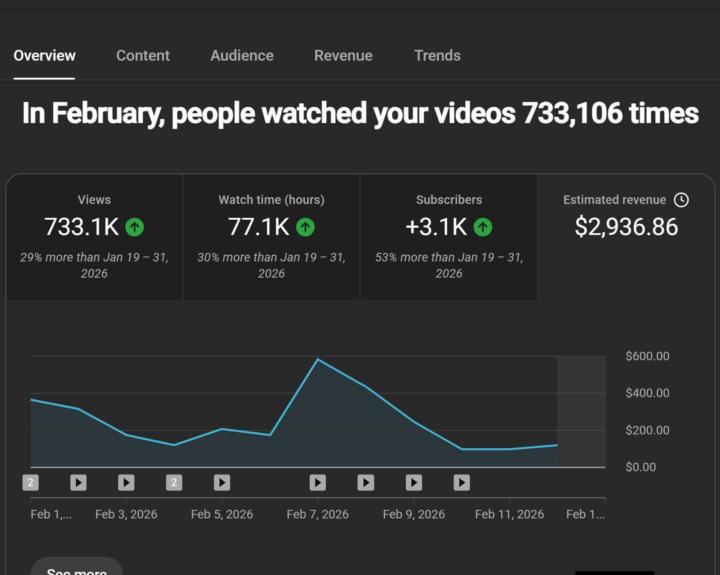 February Results: 733,106 Views. $2,936.86 in Revenue. No Face on Camera.