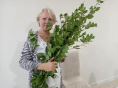 Ina Kamėnė