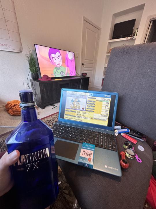 What do all these things have in common?