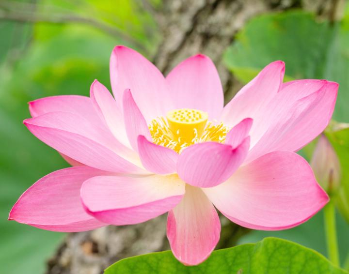 Balance ⚖️👁️‍🗨️