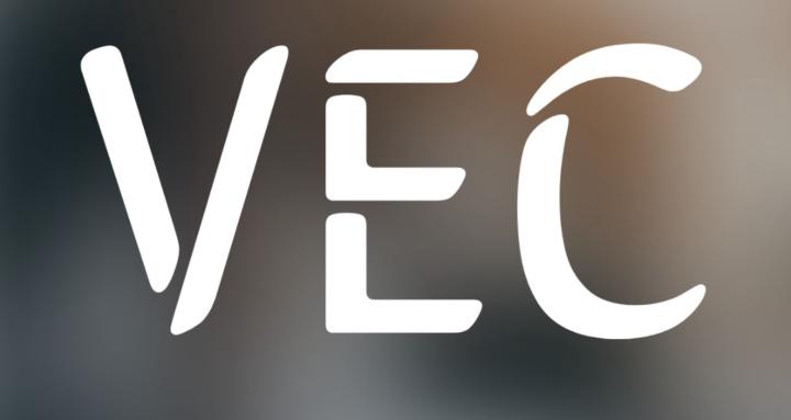 Vital Edge Collective