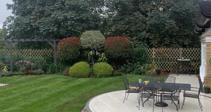 Landscapes ‘N’ backaches 