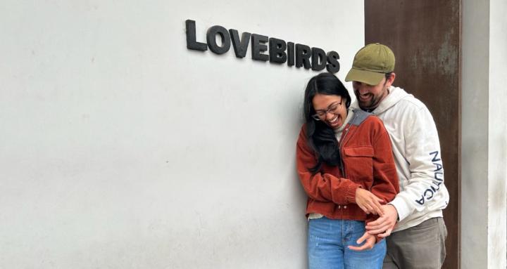 Lovebirds