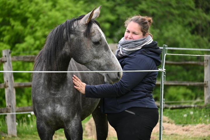 Plas Lucie