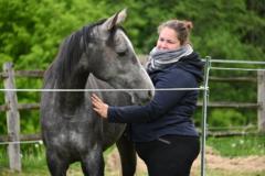 Plas Lucie