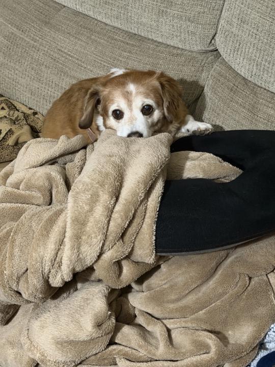 I Made It Home Updates For The Week Ahead