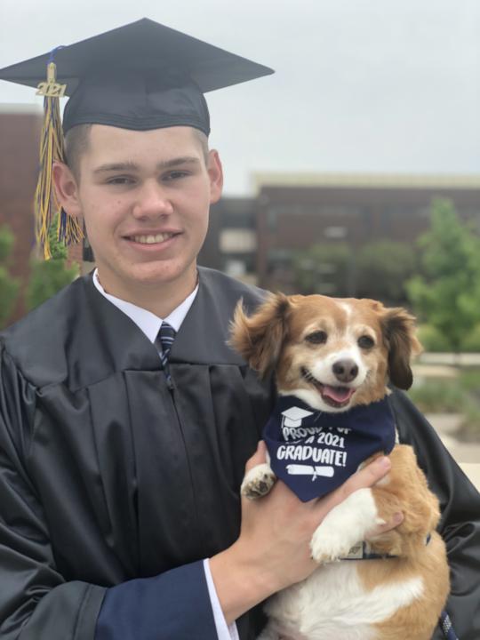 Peptides and Pets: Let's Talk About It 🐾