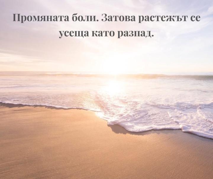 Стойна Стефанова