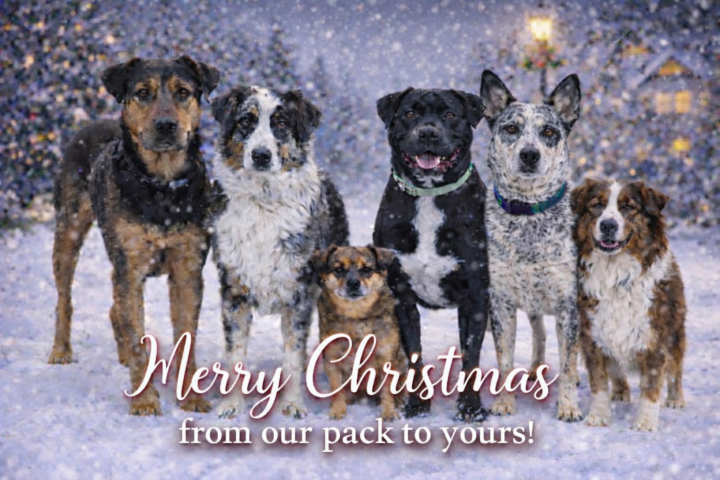 Christmas family pic thanks to AI