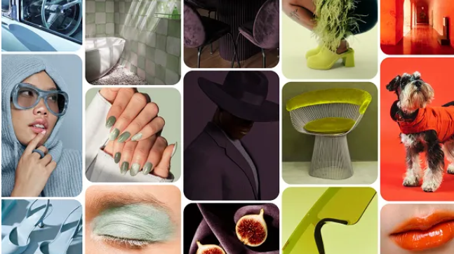 🎨 Pinterest Palette 2026 — Trending Color