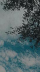 Sharoon Andrea