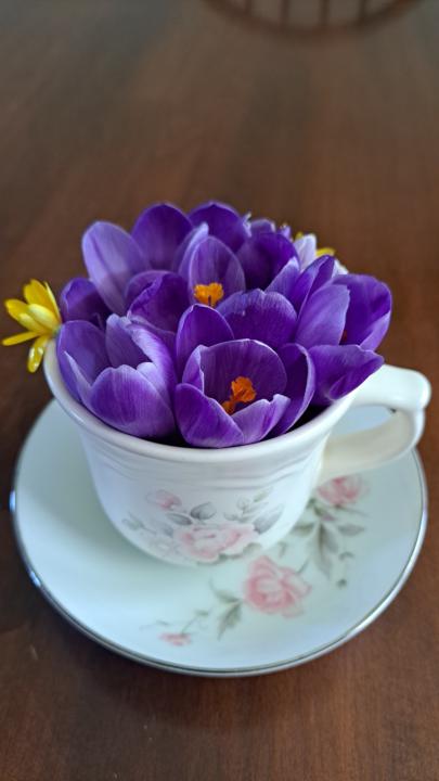 Welcome new season...