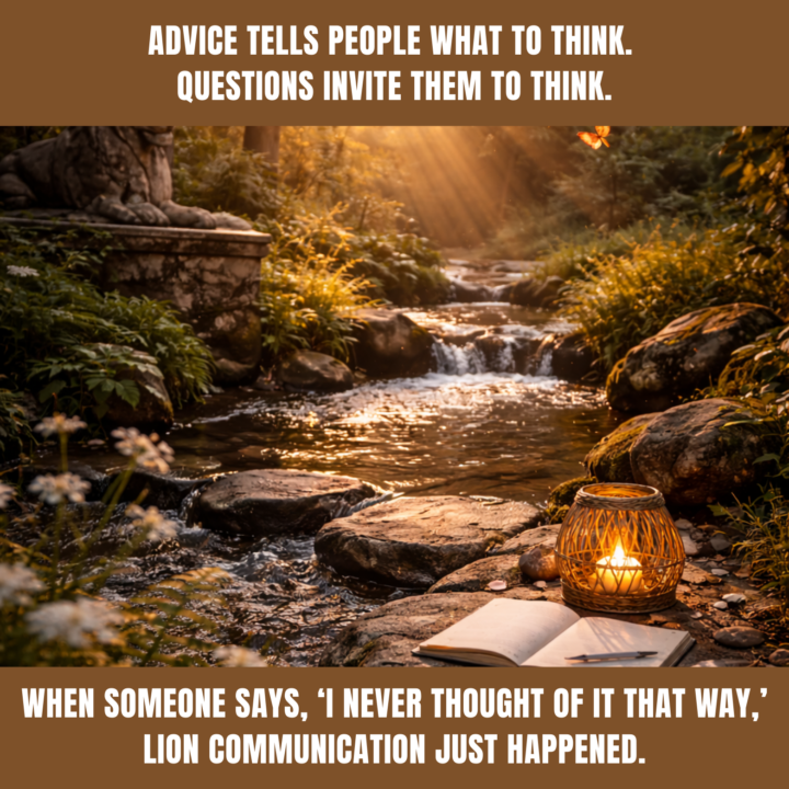 LION DRASH COMMUNICATION