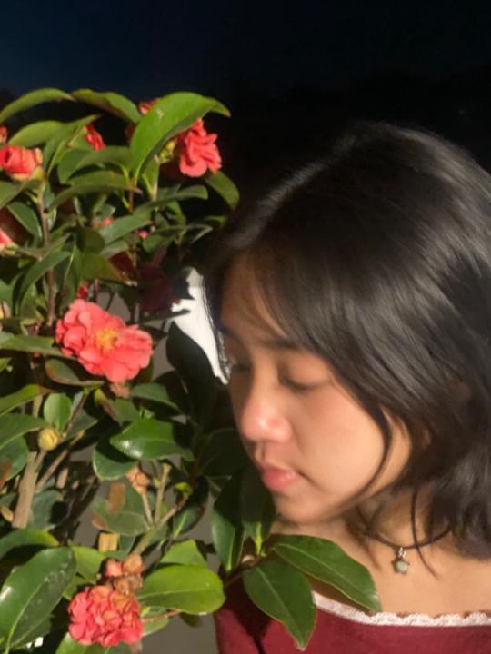 My Nguyễn