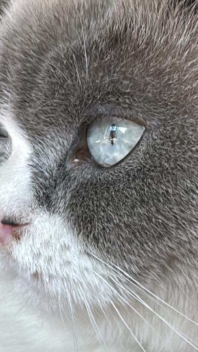 Maria Victoria Fernandez