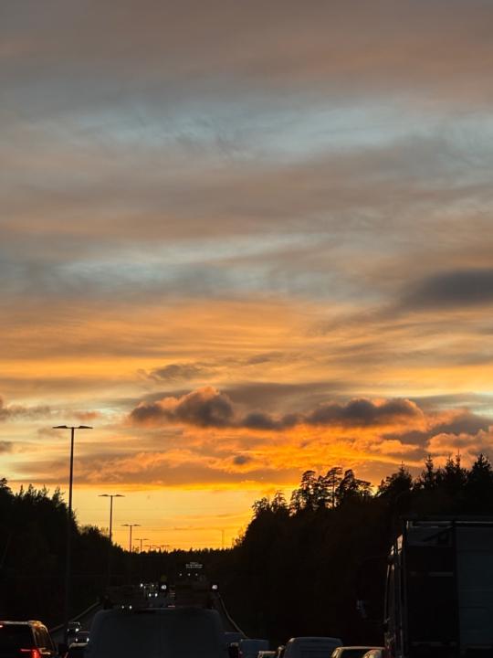 Nandintsetseg Chamintsetseg